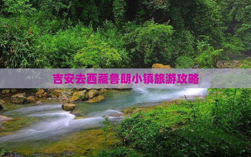 吉安去西藏鲁朗小镇旅行社