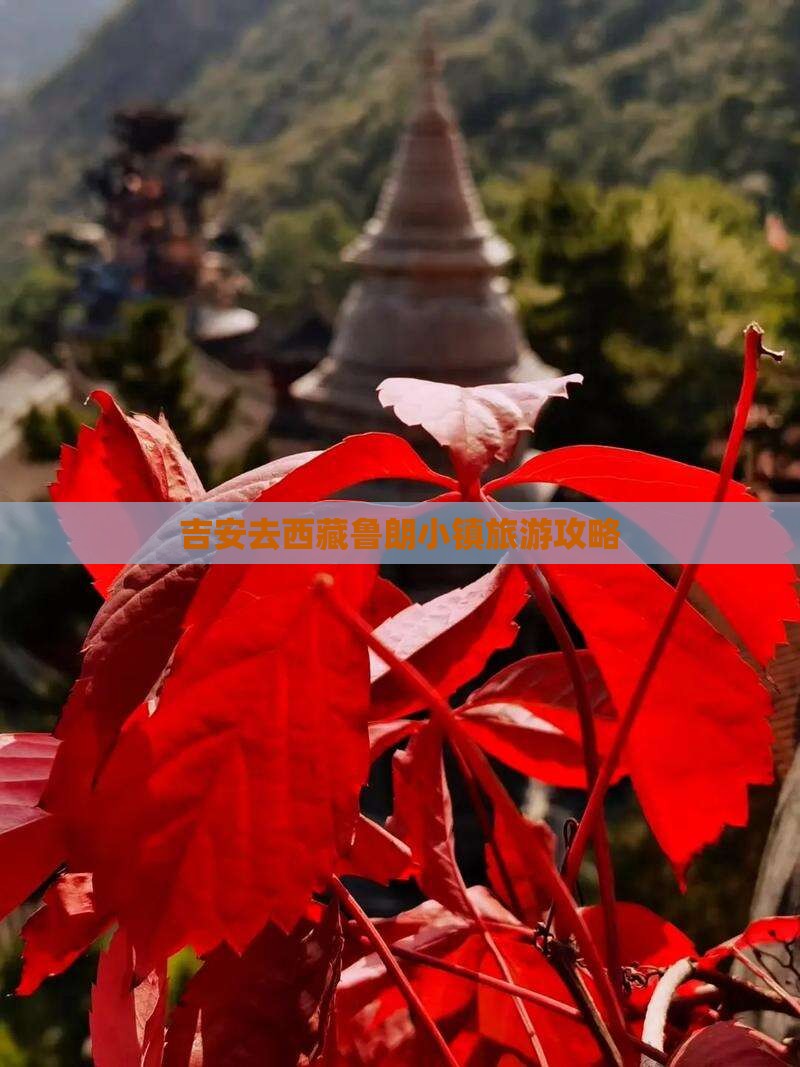 吉安去西藏鲁朗小镇旅行社