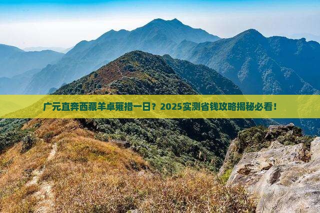广元到西藏羊卓雍措一日
