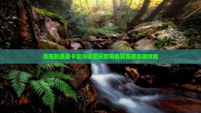 贵阳到西藏卡定沟哪里玩