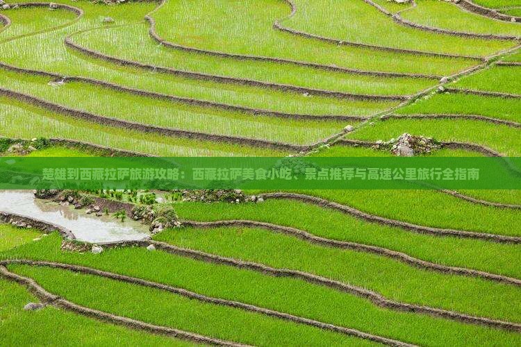 楚雄到西藏拉萨旅游小吃