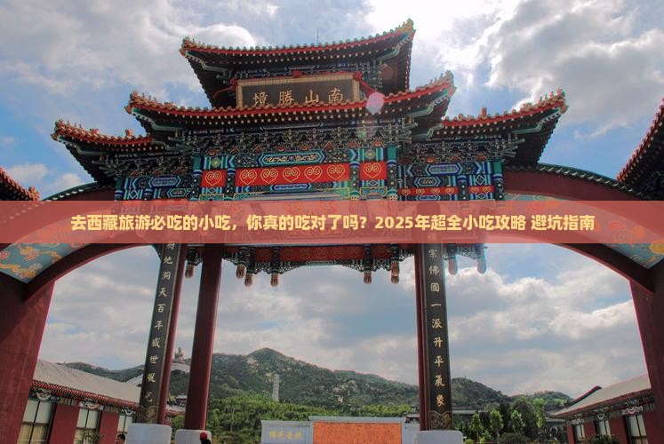 来宾去西藏旅游小吃