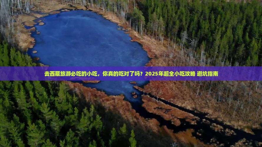 来宾去西藏旅游小吃