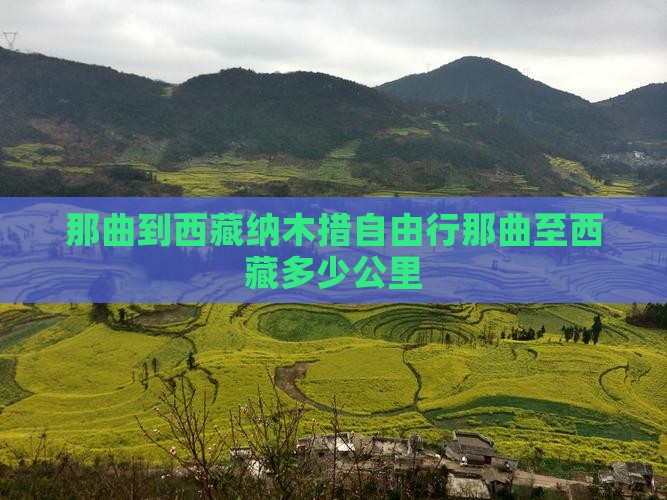 那曲到西藏纳木措自由行