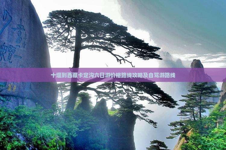 十堰到西藏卡定沟六日游