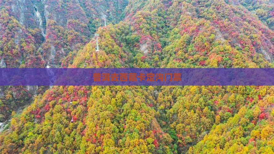普洱去西藏卡定沟门票