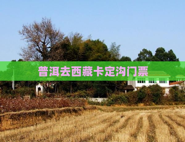 普洱去西藏卡定沟门票
