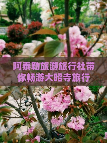 阿泰勒去西藏大昭寺旅行社