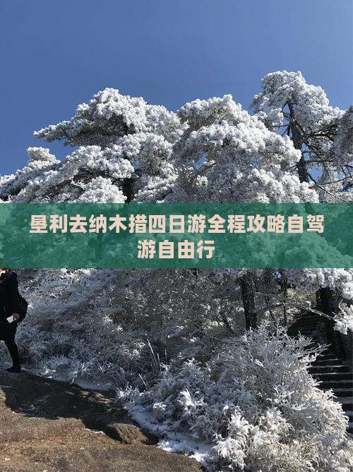 垦利去西藏纳木措四日游