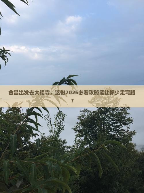 金昌去西藏大昭寺旅游