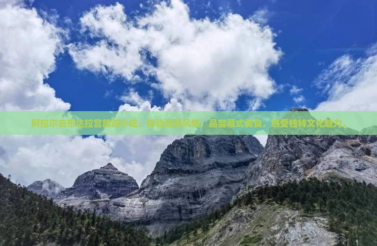 阿拉尔去西藏布达拉宫旅游小吃