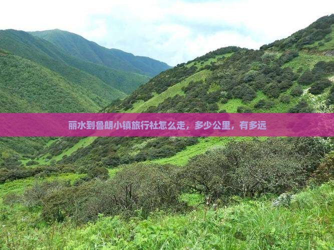 丽水到西藏鲁朗小镇旅行社