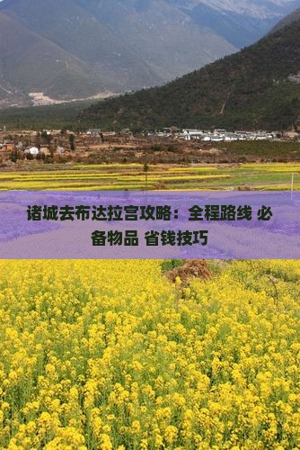诸城去西藏布达拉宫攻略