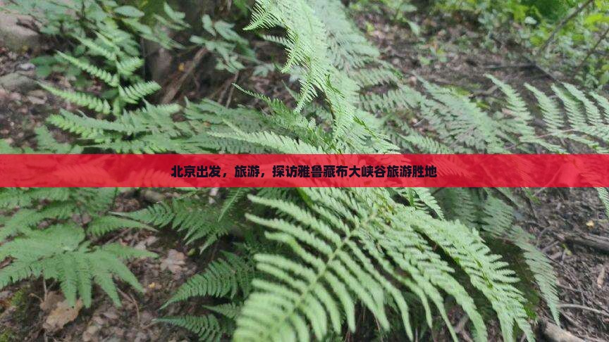北京到西藏雅鲁藏布大峡谷团体旅游