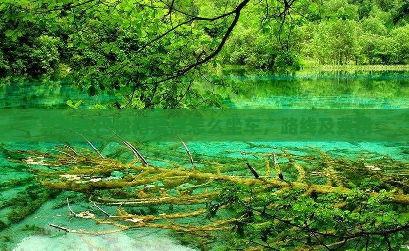 常州去西藏巴松措景点