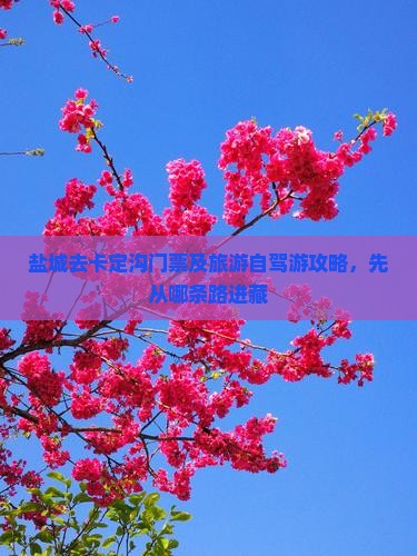 盐城去西藏卡定沟门票
