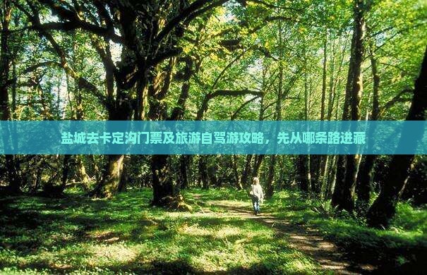 盐城去西藏卡定沟门票