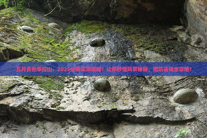 五月去西藏色季拉山景点