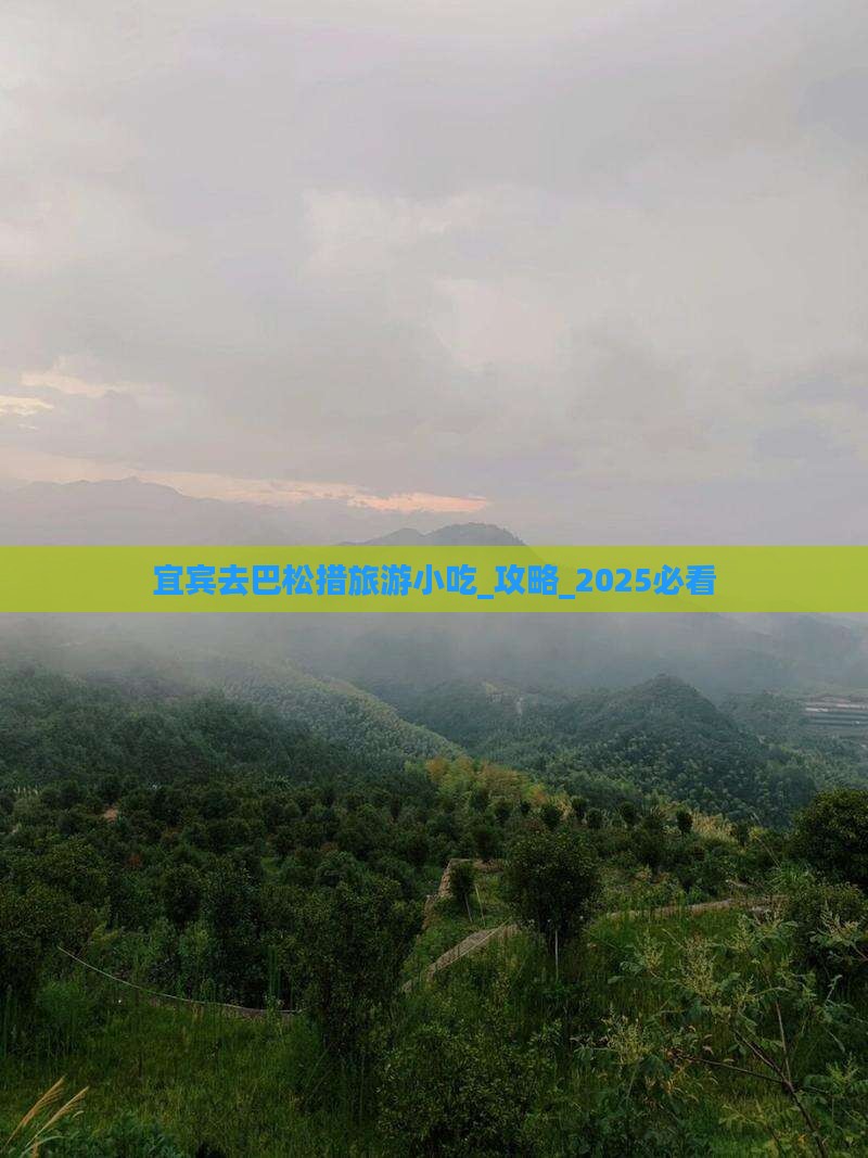 宜宾去西藏巴松措旅游小吃