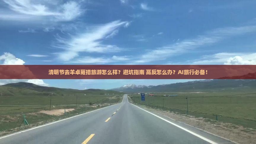 清明节到西藏羊卓雍措旅游