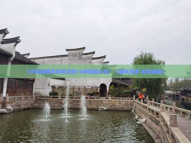 南京到西藏林芝旅游小吃
