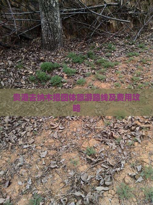 贵港去西藏纳木措团体旅游