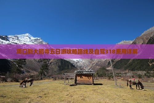 周口到西藏大昭寺五日游