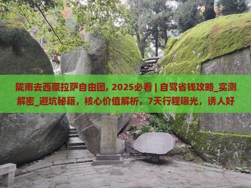 陇南去西藏拉萨自由团