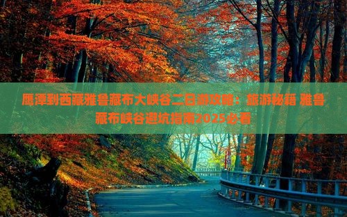 鹰潭到西藏雅鲁藏布大峡谷二日游