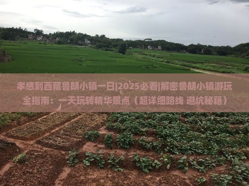 孝感到西藏鲁朗小镇一日
