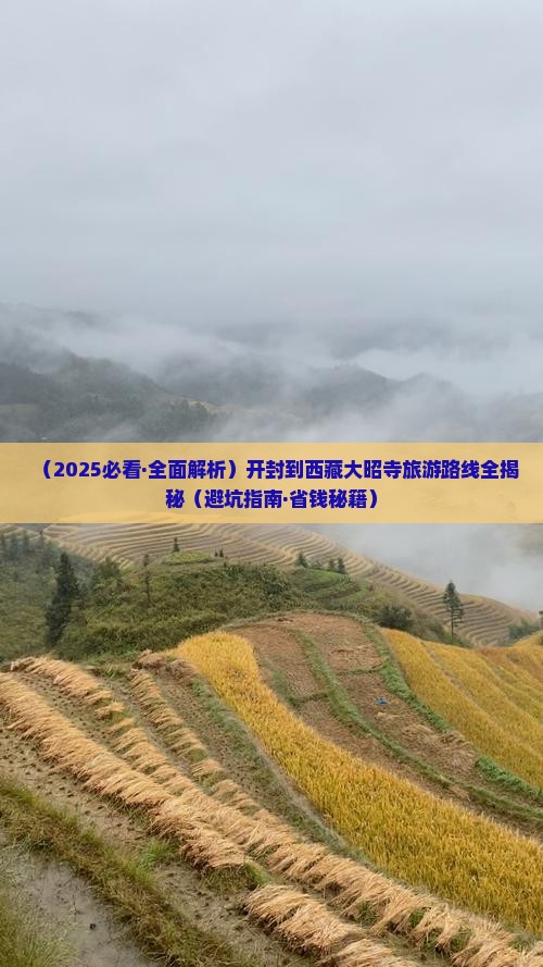 开封去西藏大昭寺景点