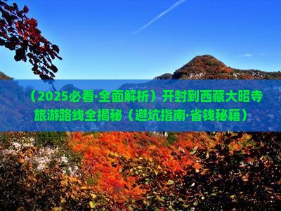 开封去西藏大昭寺景点
