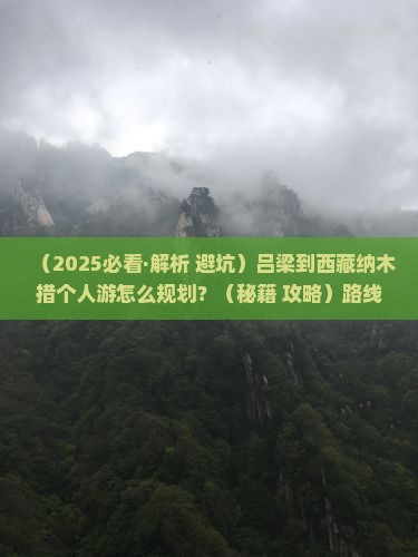 吕梁到西藏纳木措个人游