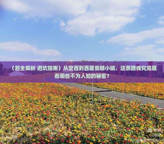 定西去西藏鲁朗小镇哪里玩