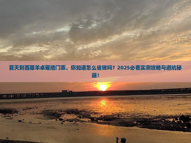 夏天到西藏羊卓雍措门票