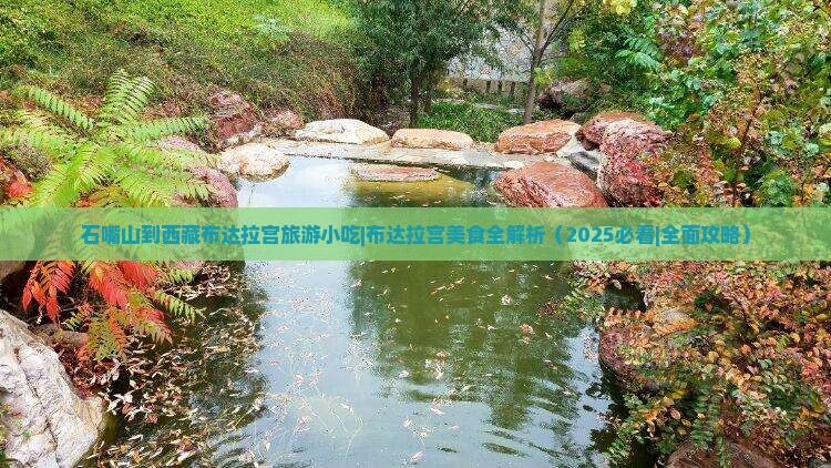 石嘴山到西藏布达拉宫旅游小吃