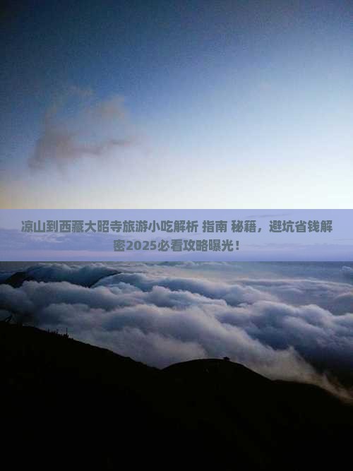 凉山到西藏大昭寺旅游小吃