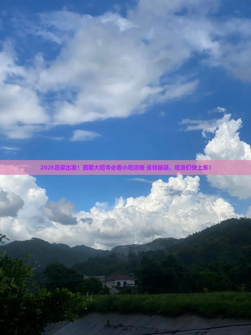 吕梁到西藏大昭寺旅游小吃