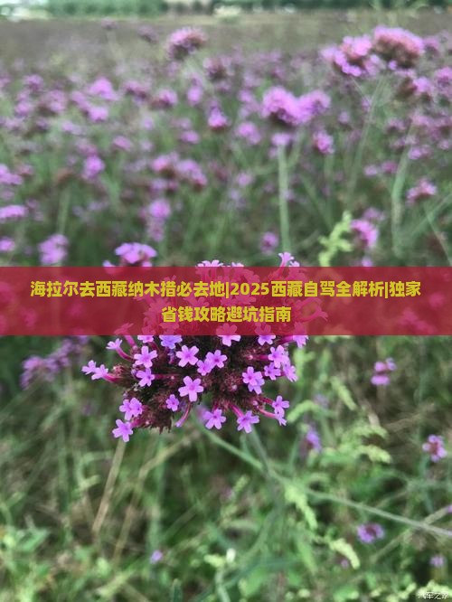 海拉尔去西藏纳木措必去地