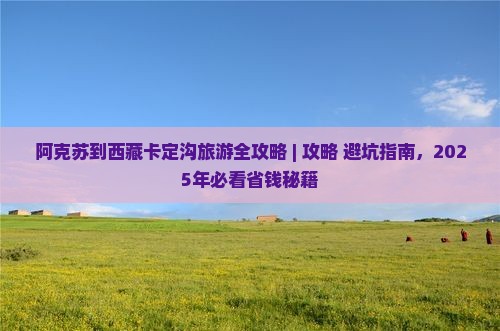 阿克苏去西藏卡定沟旅游小吃