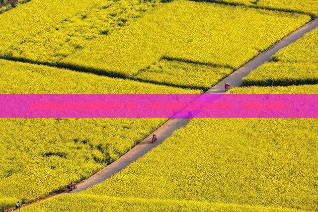 德州去西藏鲁朗小镇团体旅游