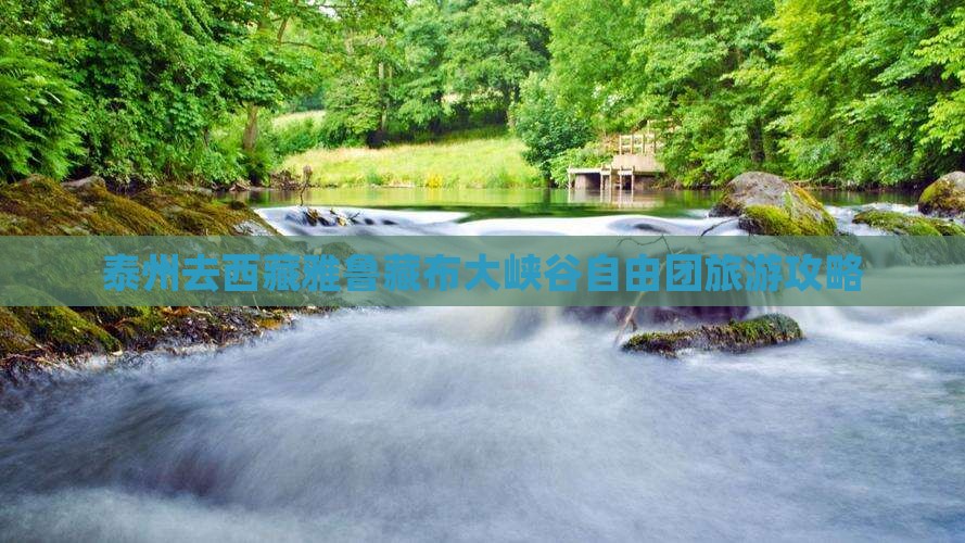 泰州去西藏雅鲁藏布大峡谷自由团