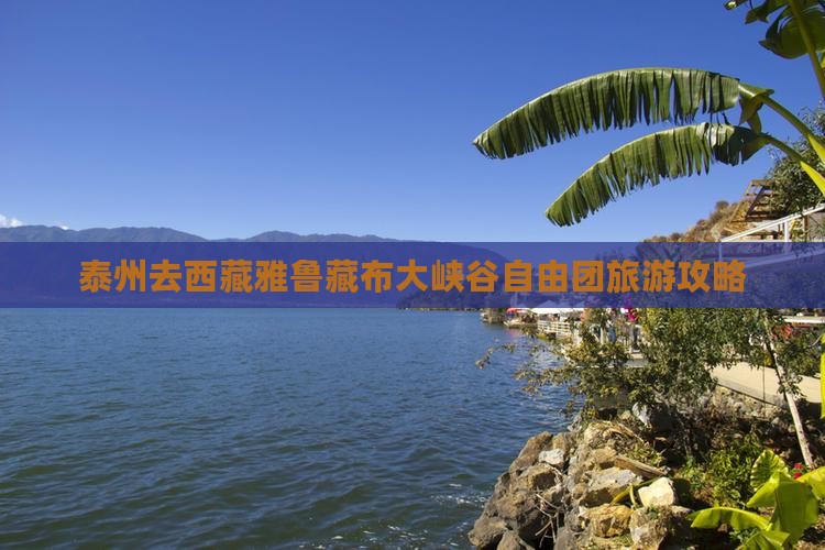 泰州去西藏雅鲁藏布大峡谷自由团