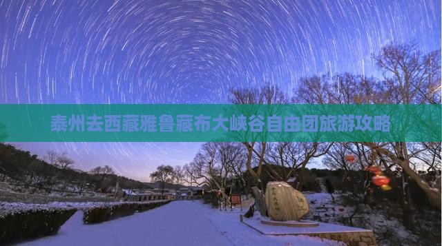 泰州去西藏雅鲁藏布大峡谷自由团