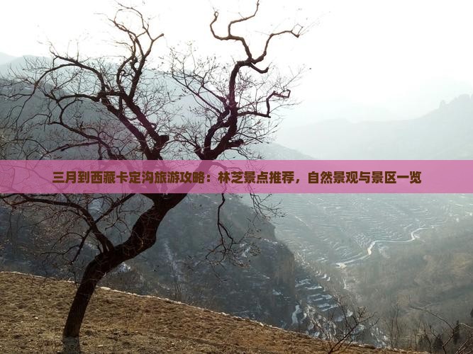三月到西藏卡定沟哪里玩