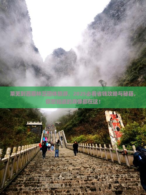 莱芜到西藏林芝团体旅游