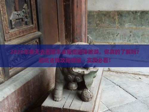 春天去西藏羊卓雍措团体旅游