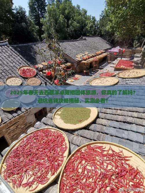 春天去西藏羊卓雍措团体旅游