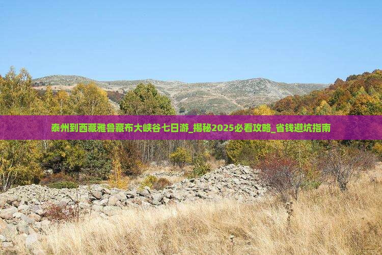 泰州到西藏雅鲁藏布大峡谷七日游