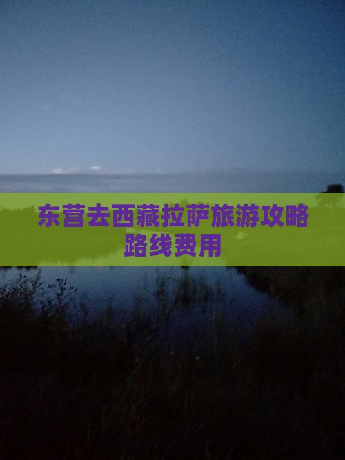 东营去西藏拉萨旅游